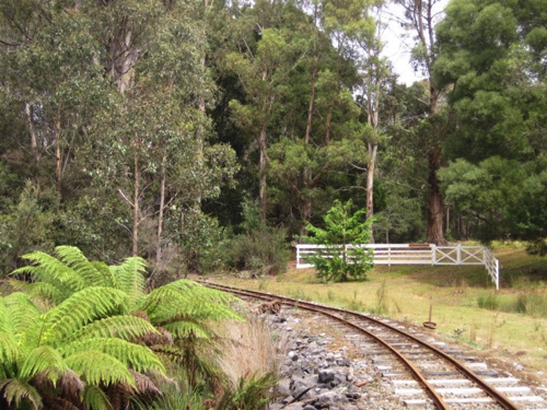 41 - Ida Bay Railroad